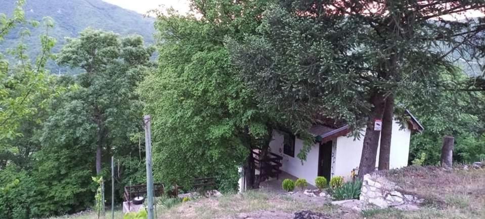 Vila Eva Meduvrsje Exterior photo